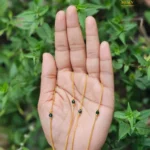 Gold Plated Crystal Beads Chain Anklet - Green